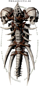 Bone Shield Diablo 2 Resurrected