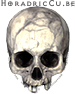 Skull Diablo 2 Resurrected